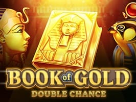 Book of Gold Double Chance screenshot